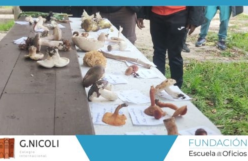 Setas en Cercedilla: excursión de Colegio G. Nicoli y Fundación Escuela de los Oficios